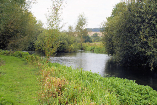 AVON, WOODFORD VALLEY