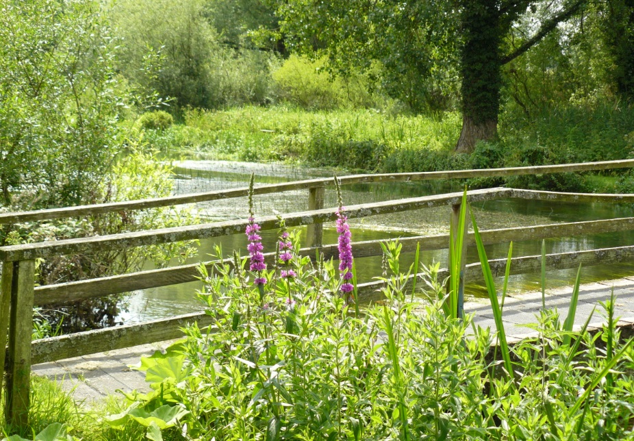 DUN, HUNGERFORD
