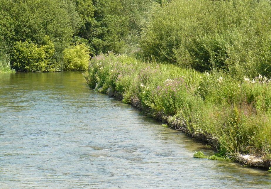 DUN, HUNGERFORD