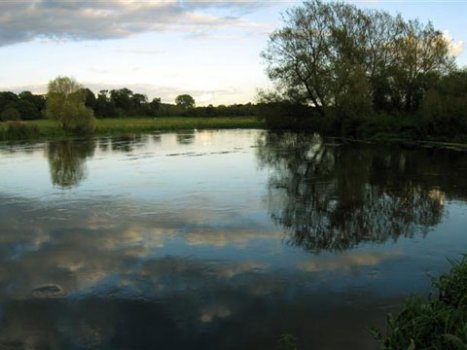 AVON, NORTHEND (salmon)