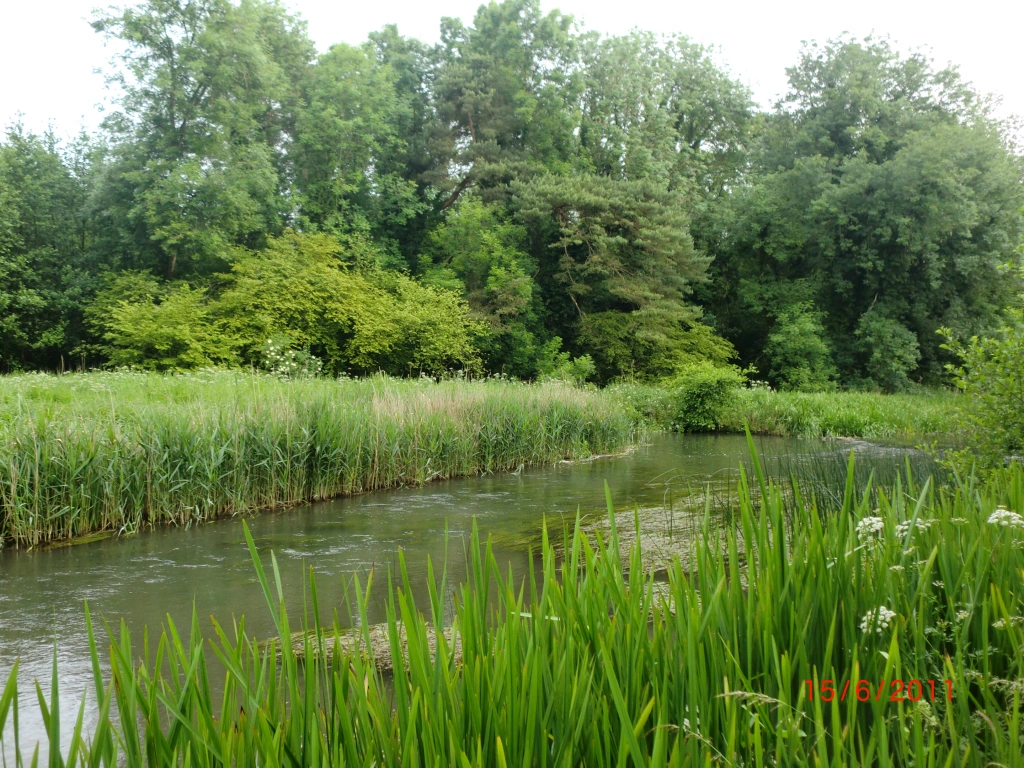 KENNET, BENHAM PARK