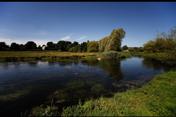 TEST, LECKFORD