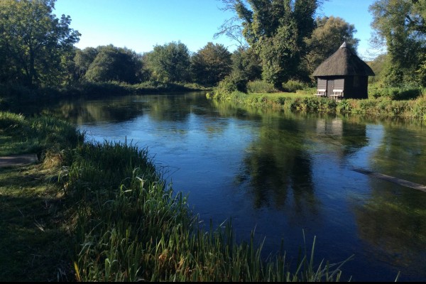TEST, LECKFORD
