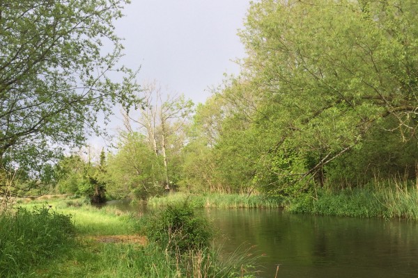 TEST, LECKFORD