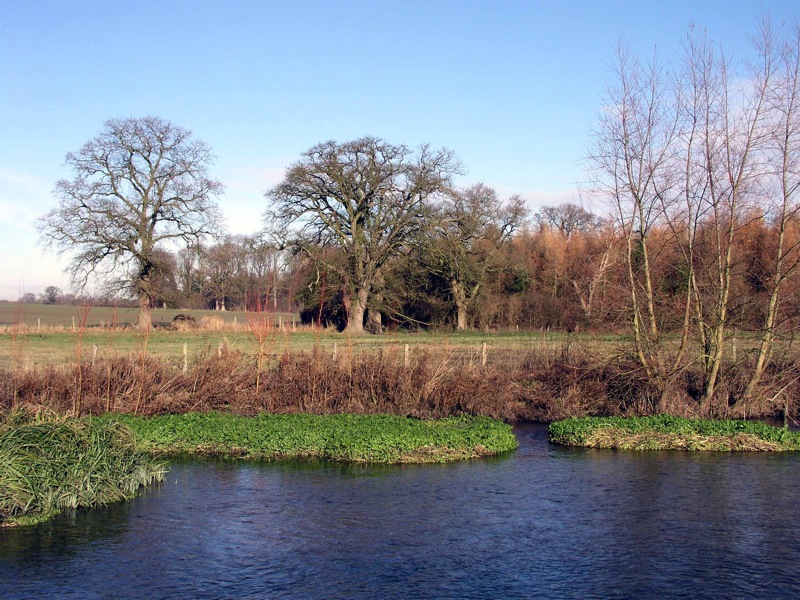 LODDON, STRATFIELD SAYE