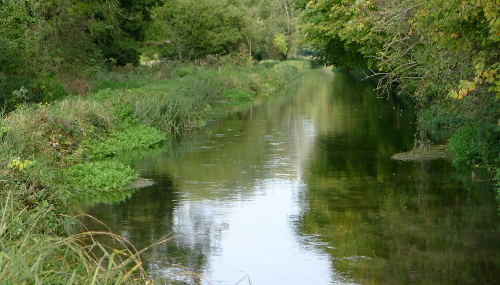 TEST, PARK STREAM plus Trout Lake Carrier
