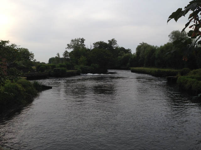 TEST, TESTWOOD (Sea Trout)